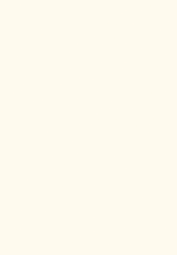 Regency - Matt Porcelain Tile 600x1200mm